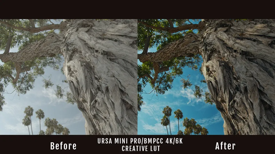 kondor-blue-ursa-mini-pro-bmpcc-4k-6k-creative-lut-cube image 1