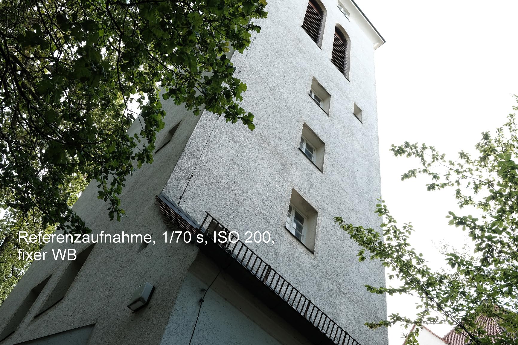 Videografen-Traum