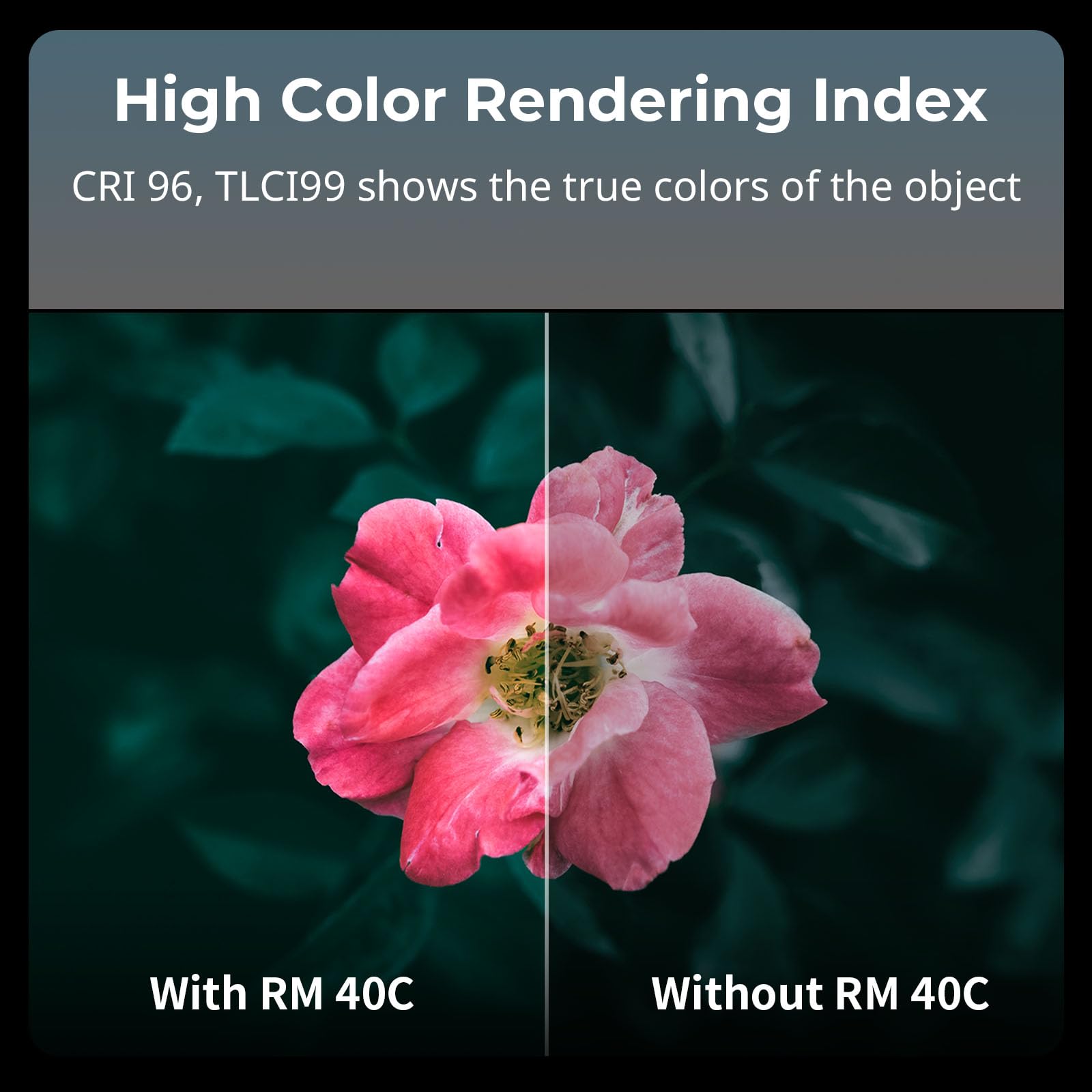 smallrig-5359-rm40c-mini-led-rgb-videoleuchte-40w-4800mah-cri-96 image 5