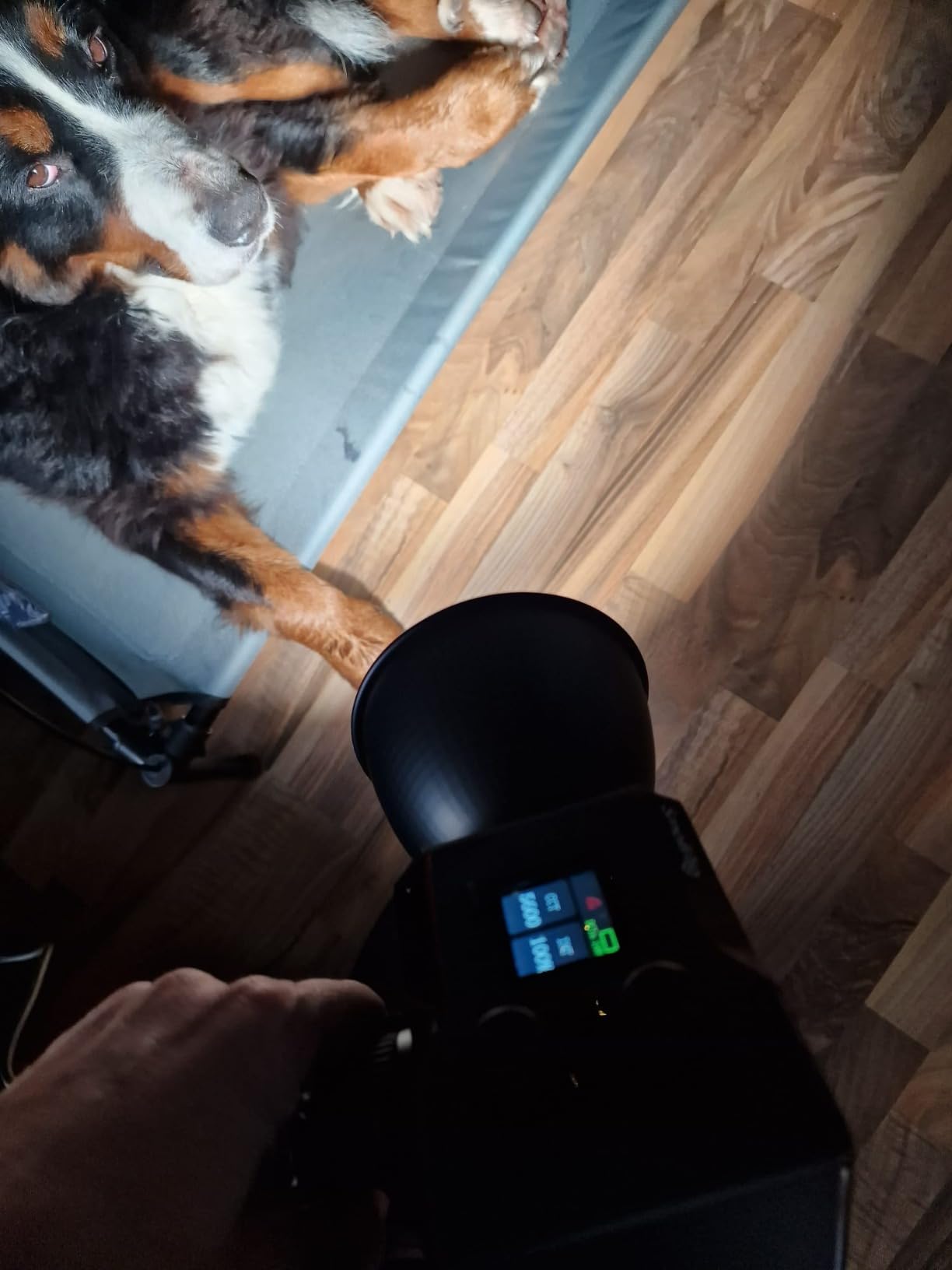 Ideal für meine Praxisvideos