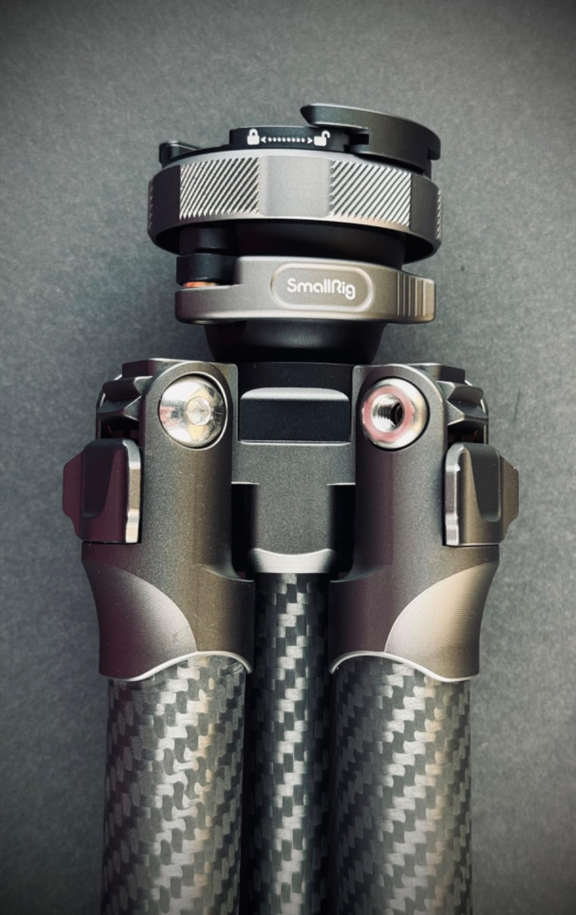 Stabil trotz Carbon-Leichtgewicht