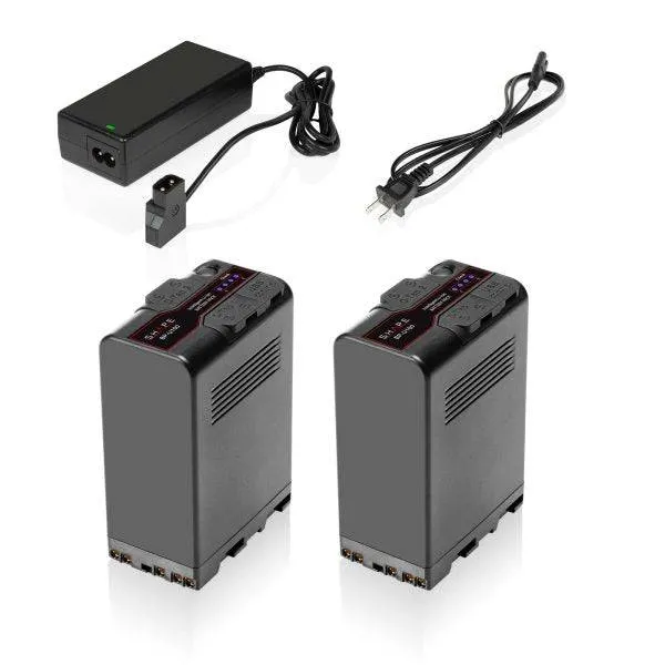 shape-sony-fx9-fx6-bp-u100-akkus-mit-travel-charger image 1